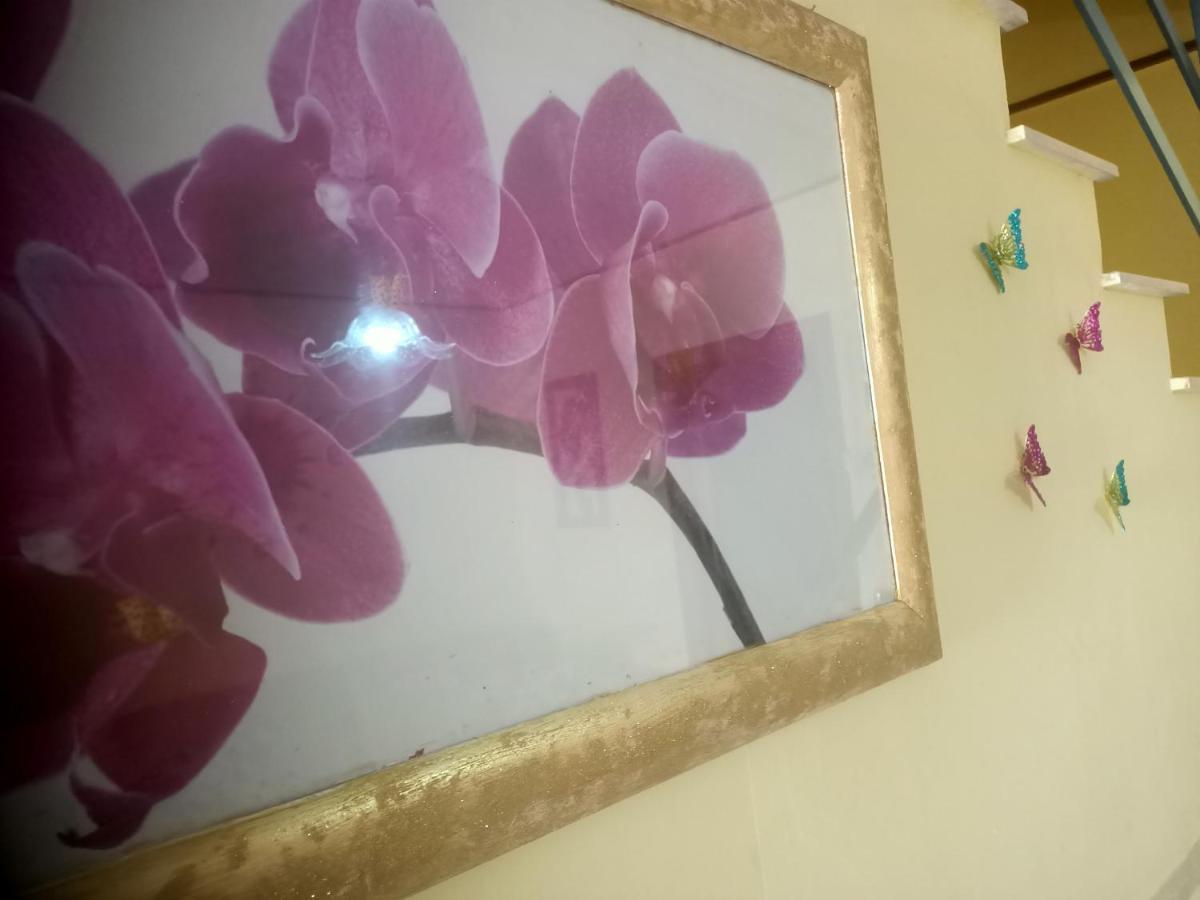 Casa Sole Villa Vetralla Luaran gambar